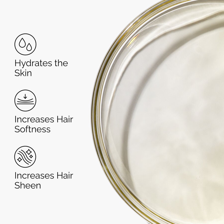100-organic-cold-pressed-moroccan-argan-oil-s4 FY25-D41247-ORD-Web-PDP-100-Argan-Oil-1x1-EN-3.jpg