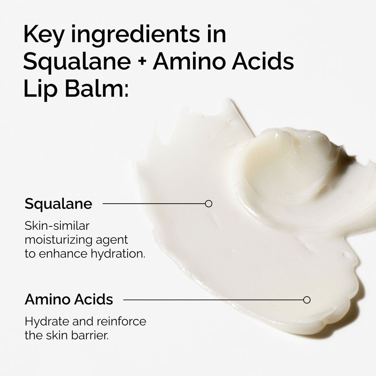 squalane-amino-acids-lip-balm-t9 FY25-D41247-ORD-Web-PDP-Sql-Amino-Lip-1x1-EN-2a.jpg